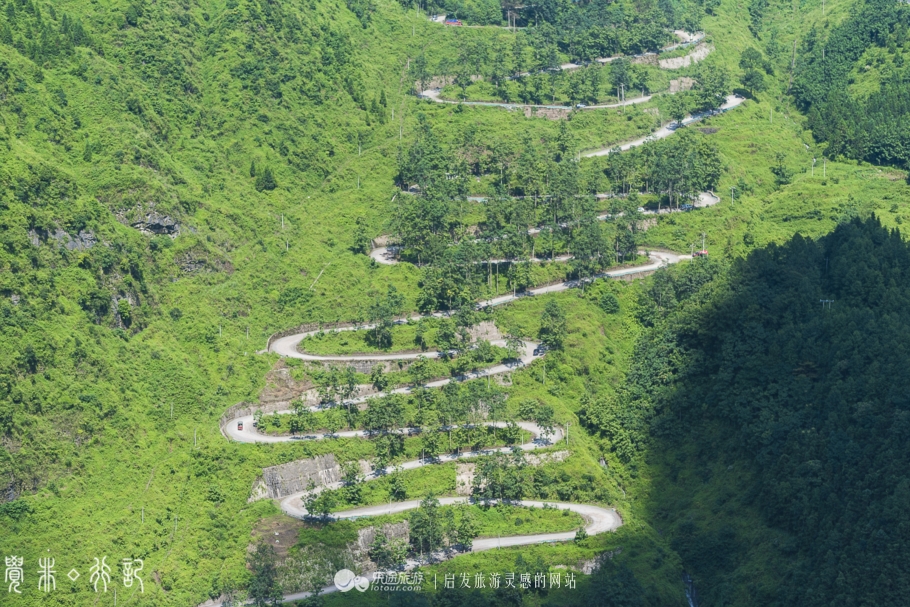 二十四道拐布谷鸟完整版,关山二十四道拐