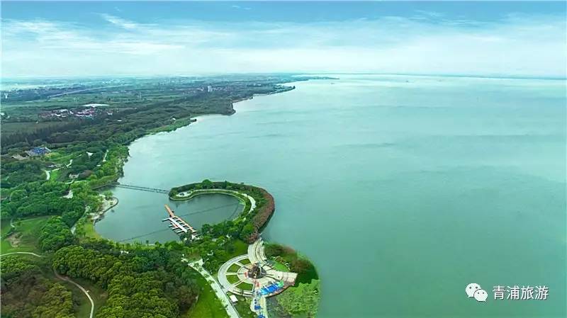 青浦限时特惠,青浦周末好去处
