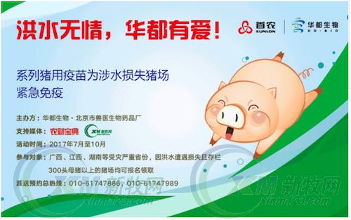 台风后防疫难，华都生物免费送疫苗已惠及3万多头母猪