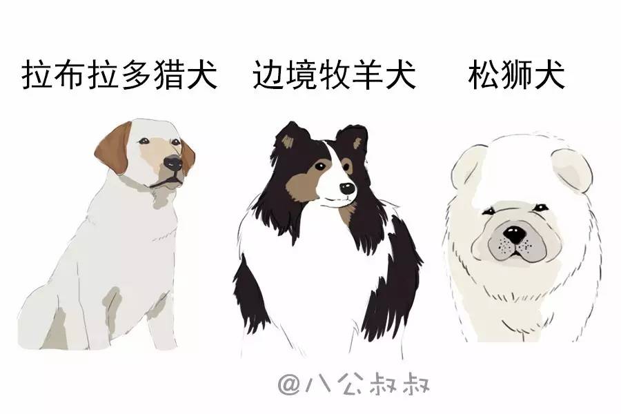 狗狗得关节炎常见的症状有哪些,狗狗膝关节最佳治疗方法