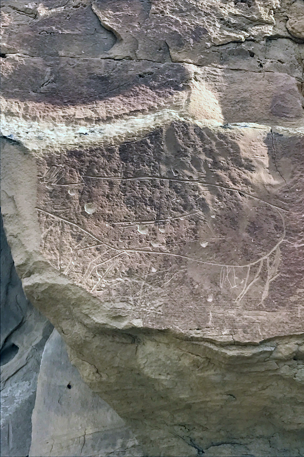 卡尔加里doordash,卡尔加里开飞机