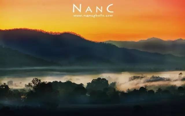 我们相爱吧无尾熊全集,我们相爱吧无尾熊