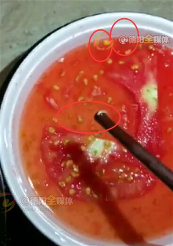 吃番茄不小心吃了里面的蛆,火龙果里面吃出蛆