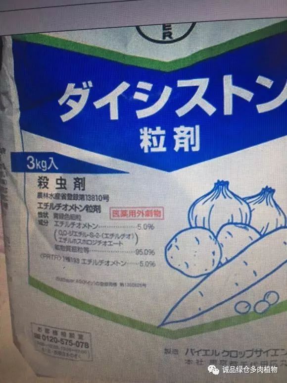 多肉既杀虫又杀菌的药剂,多肉最好的杀虫剂是哪种