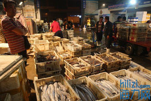 海鲜水产类市场,海鲜水产市场有哪些