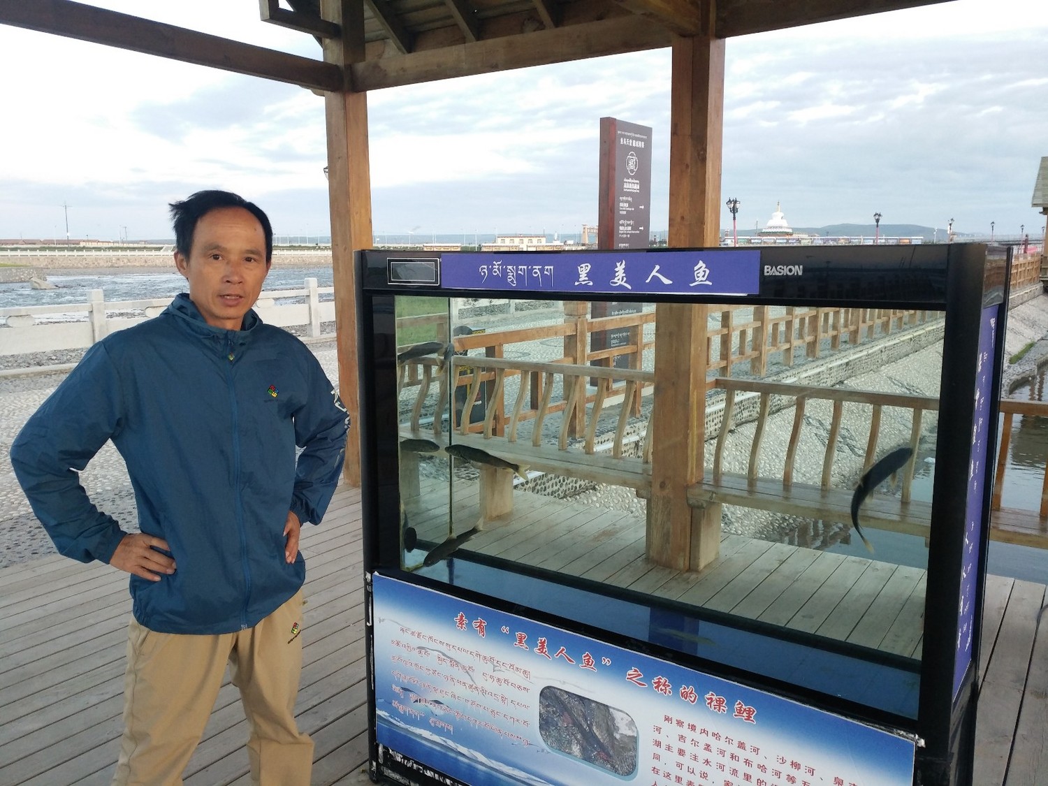 青海湟鱼家园,青海的湟鱼家园