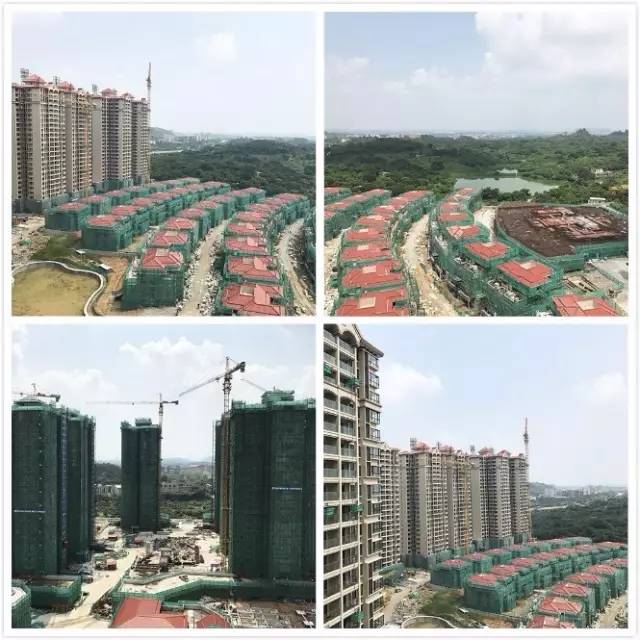 广州东部楼市最新消息,广州主城区楼市洼地