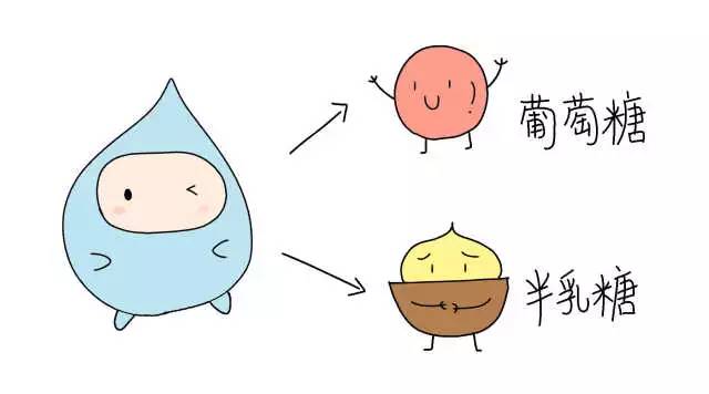 乳糖不耐受能不能喝金典纯牛奶,乳糖不耐受的人一定不能喝牛奶吗