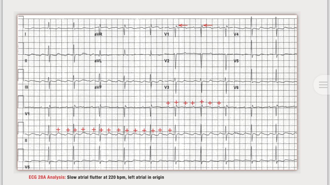 读心有术216,读心有术131期