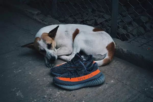 神仙水可以用来当防晒吗,神仙水防晒霜一起用