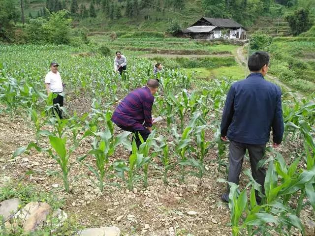 对人民群众许下的铮铮誓言,用行动兑现承诺