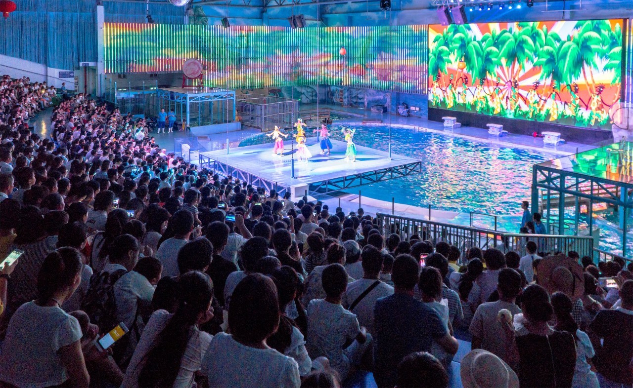 教师节活动免费/5折！三江夜游、海洋世界、罗蒙环球乐园……