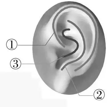 助眠瑜伽睡前动作,睡前黄金10分钟6个动作