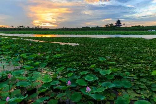 五一期间银川有哪些免费景点,银川四月免门票的地方