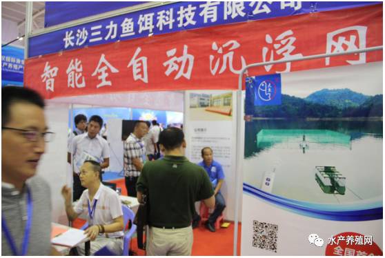 姘翠骇鍏绘畺鍙傚睍浼佷笟,姘翠骇鍔ㄤ繚浼佷笟鑱氶姝︽眽