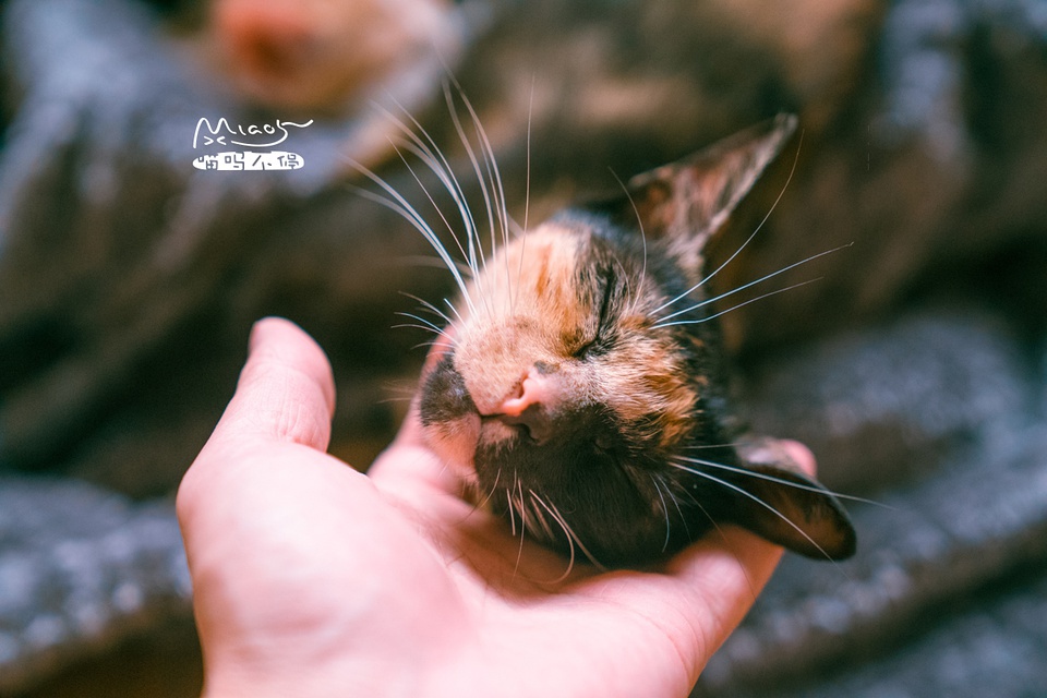 豆瓣日记10月,豆瓣日记