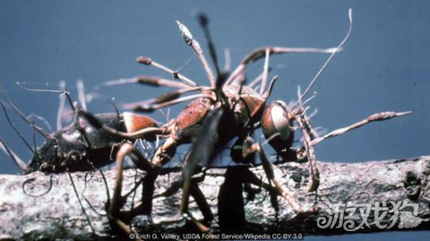 探讨:为何视频游戏痴迷世界末日题材