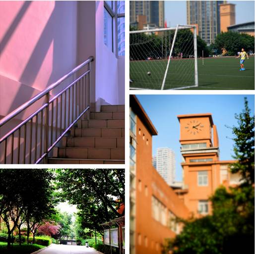 重庆最厉害的十所中学,重庆最厉害的5所大学