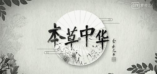 为了看这部豆瓣8.9的纪录片，我去商场买了一台4K电视