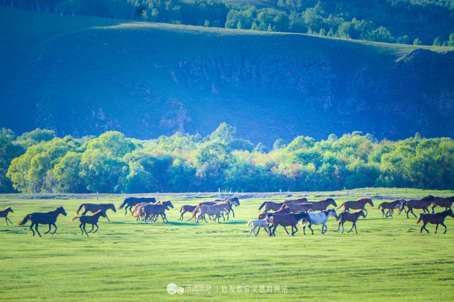 现代中国赤兔马,当代赤兔马
