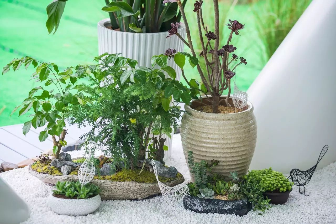 闺蜜家的房子让我羡慕,这座房子承载着我美好的记忆