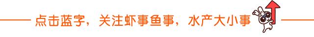 全国死鱼事件,近期死鱼事件