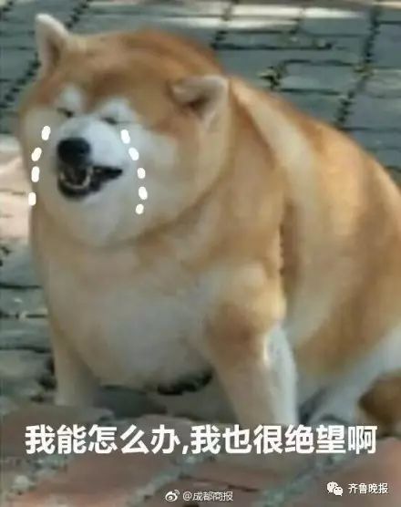 8天6场婚礼完整版,8天参加六场婚礼