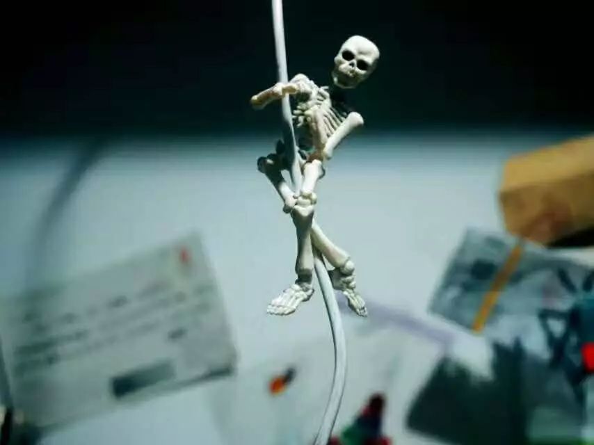 在淘宝买到什么好物,淘宝上为什么没有什么值得买