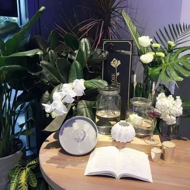 鲜报｜港丽餐厅越南河粉、海鲜饭全面上线！帝都CBD区鲜啤吧开启非洲风情