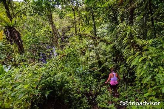 免签的海岛国家,斐济美丽的海滩