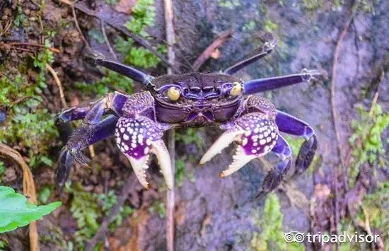 2023十大免签海岛,斐济海岛美景