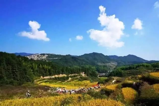 新闻医务工作者报道视频,医务人员新闻报道