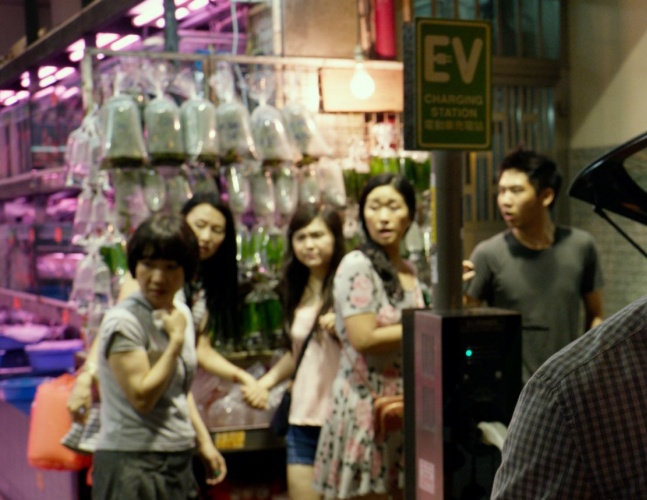 全球风暴全部片段,全球风暴海啸片段