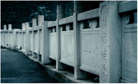 踏秋之旅,宝兴东拉山大峡谷红叶