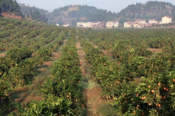 国庆大假哪里玩?大英邀你来看“海”!你只知道中国死海吗?