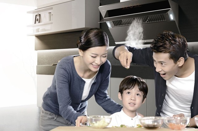 吸油烟机哪个牌子的好性价比高,什么牌子的顶侧双吸油烟机好