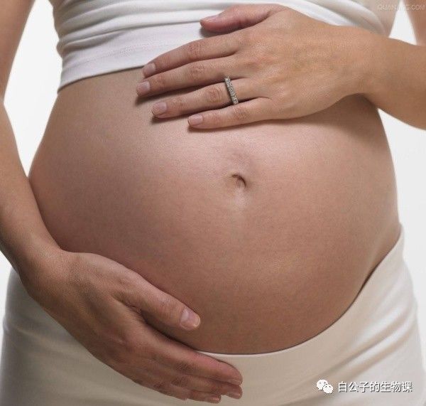 怀孕期间不小心摔倒会不会流产,怀孕摔了一跤有点痛会不会流产