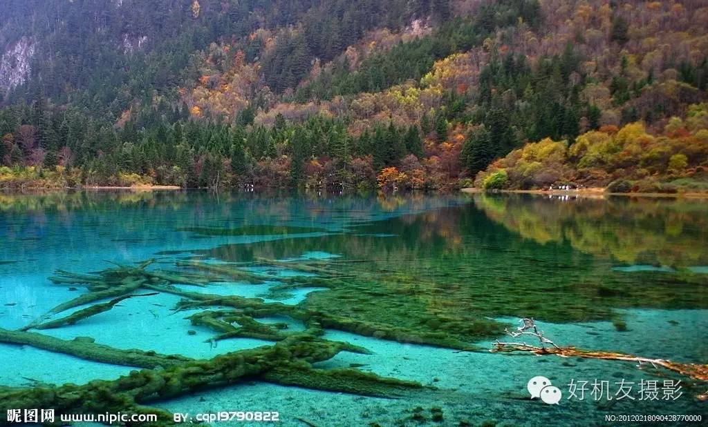 九寨沟黄龙峨眉山乐山自由行攻略,九寨沟旅游攻略及自由行景点介绍