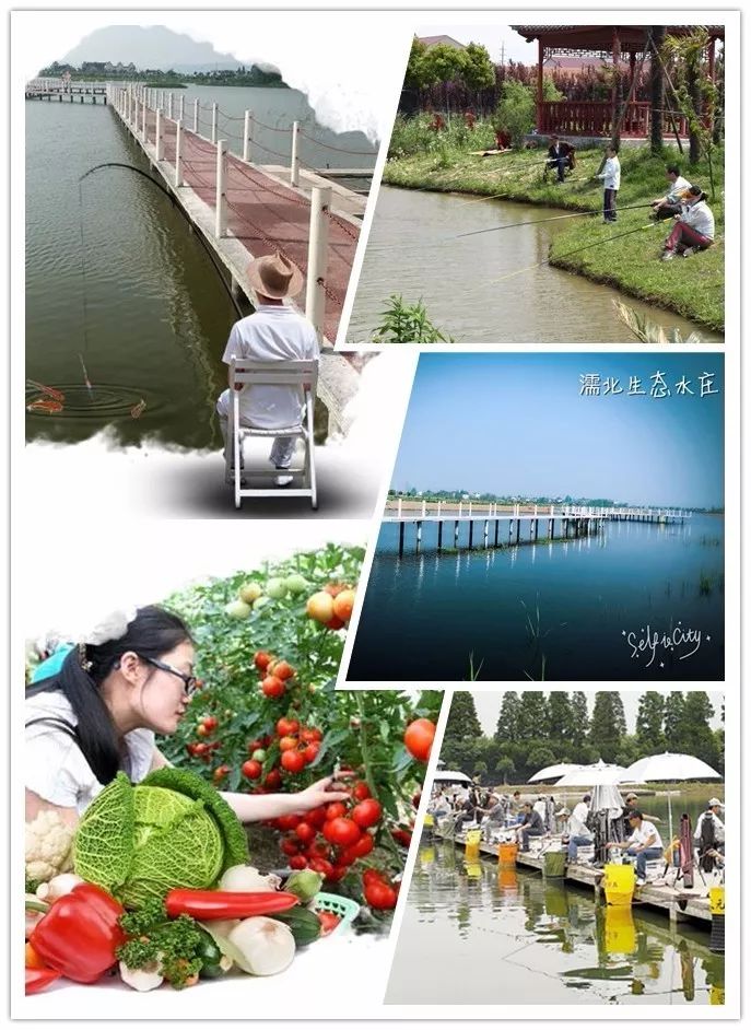 芜湖带住宿的农家乐有哪些,芜湖周边农家乐一日游推荐