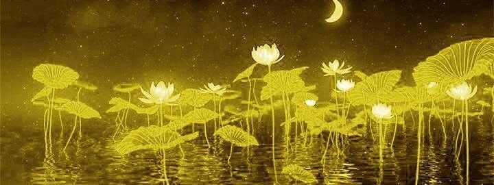 浙江省最低调的一个县,浙江有一座低调的小城