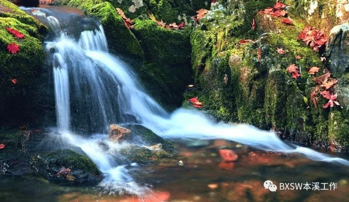 全年最美模式｜本溪预计接待游客650万人次交警送上全新“出行攻略”！