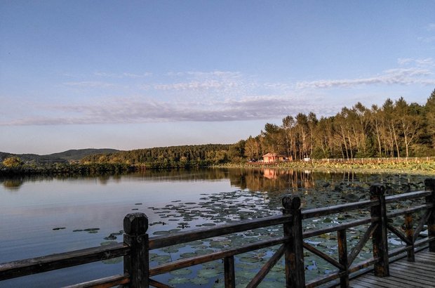 骐达真实用车感受,新骐达2000公里油耗降不下来了