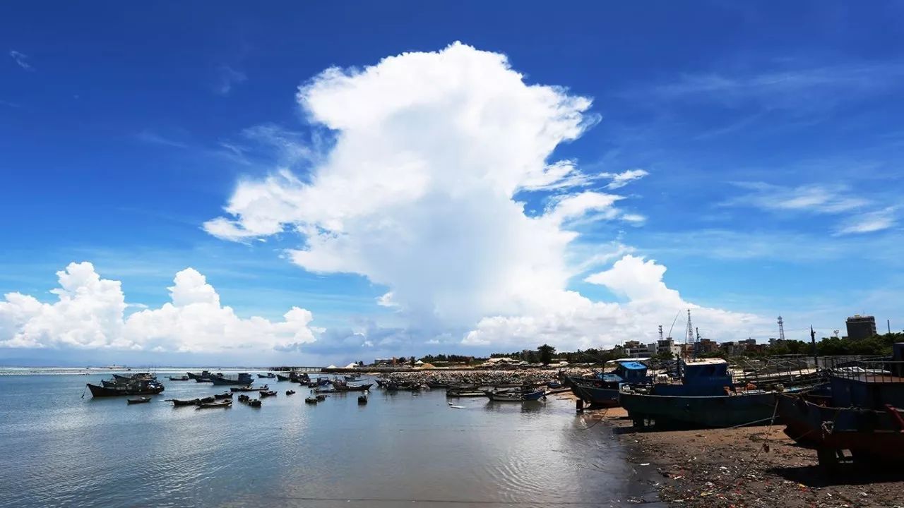 晋江世中运简介,晋江世中运