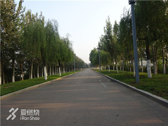 brookshyperionelite跑鞋,brooksghost12发售价