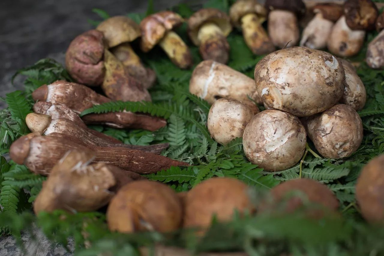 延边买特产去哪里,延边特产有哪些可以带走