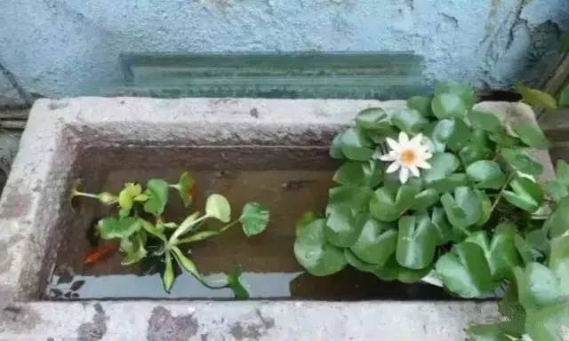 发财了！这东西以前常州家家有！扔了没人要，如今价值上万……