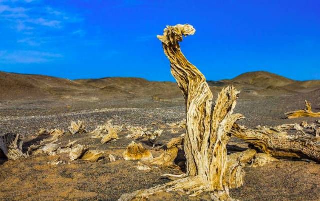 雪祭：闷罐车、新兵连、考军校，这滋味当过兵的人最懂