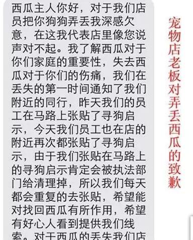 狗在寄养基地会被咬死吗,狗狗寄养宠物店被饿死