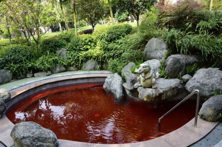 广东罗浮山风景区旅游攻略一日游,罗浮山温泉旅游攻略住宿推荐