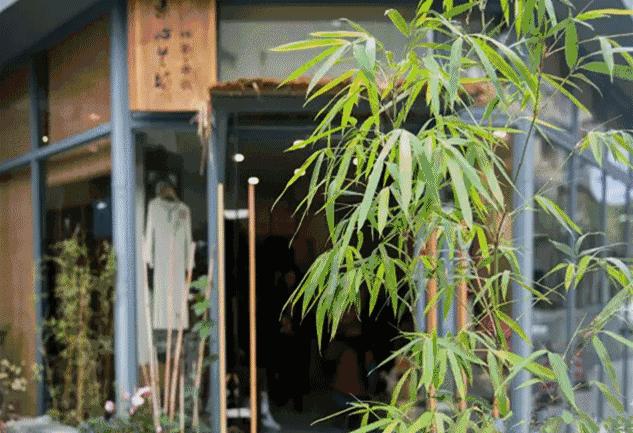 鹿晗和关晓彤的定情之作,鹿晗和关晓彤真的成为了情侣吗